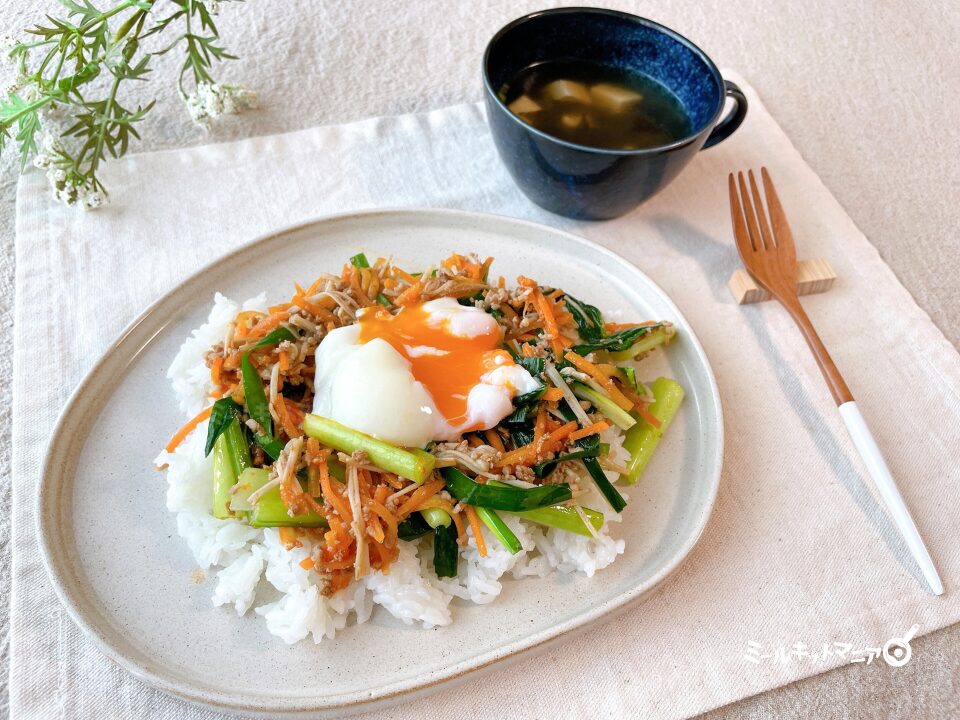 オイシックス：ミールキット（ジューシーそぼろと野菜のビビンバ）料理完成